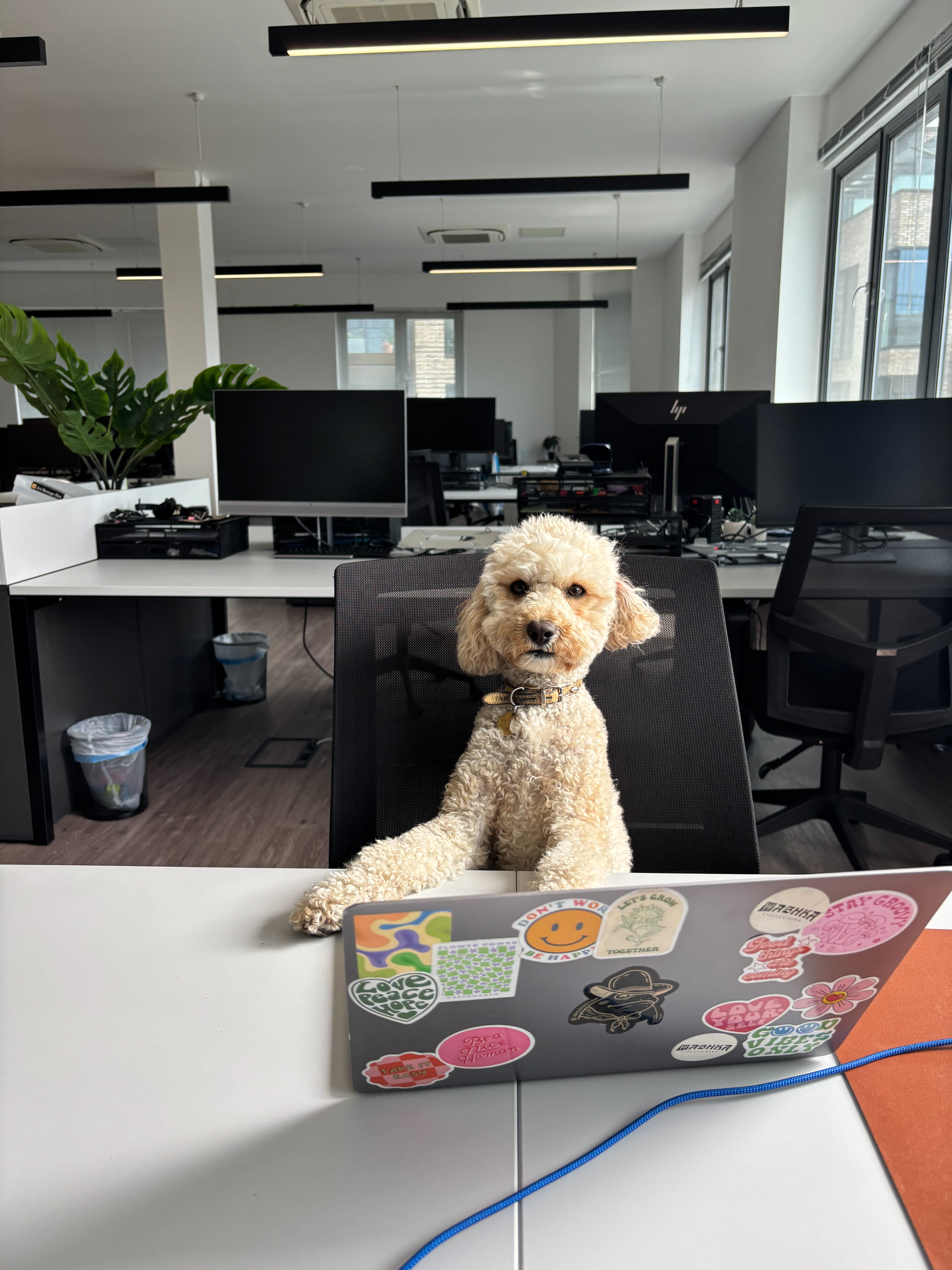 Life at Alchemy Markets — photo 3